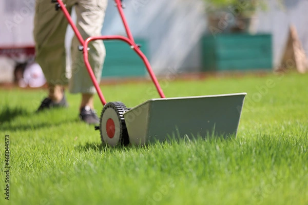 Obraz ダックスフンドと庭
