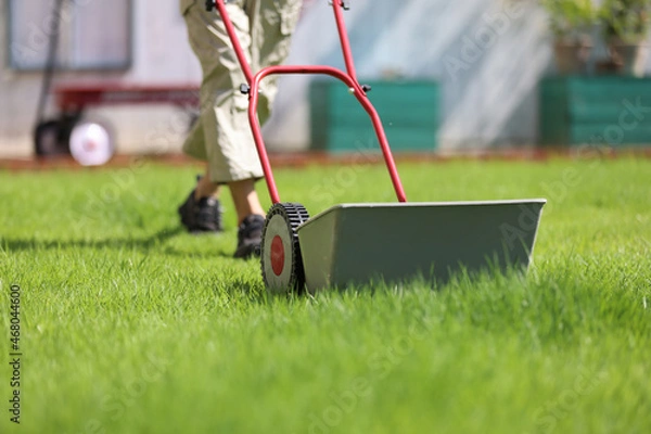 Obraz ダックスフンドと庭
