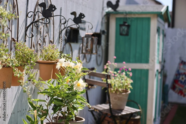 Obraz ダックスフンドと庭
