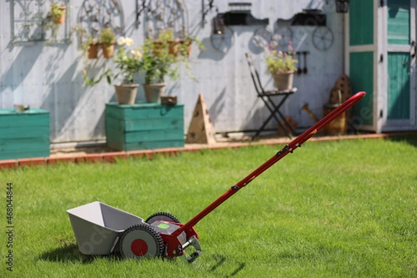 Obraz ダックスフンドと庭
