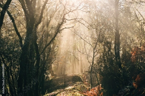 Obraz Processed with VSCO with e2 preset