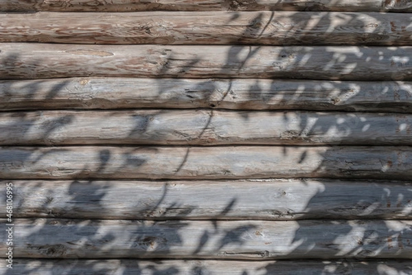 Fototapeta The shadow of the leaves on the background of the log wall of the house. Textured natural background with copy space