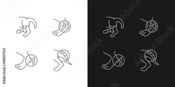 Fototapeta Animal injuries linear icons set for dark and light mode. Pet physical diseases. Limb sprains and trauma. Customizable thin line symbols. Isolated vector outline illustrations. Editable stroke