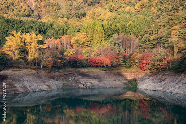Fototapeta 半田山自然公園・秋早朝