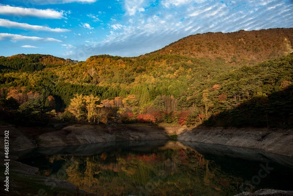 Fototapeta 半田山自然公園（秋）