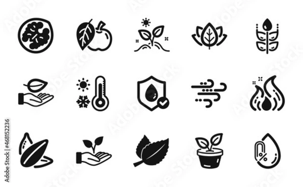 Fototapeta Vector set of Windy weather, Fire energy and Leaf icons simple set. Organic tested, Helping hand and Apple icons. Weather thermometer, Sunflower seed and Waterproof signs. Vector