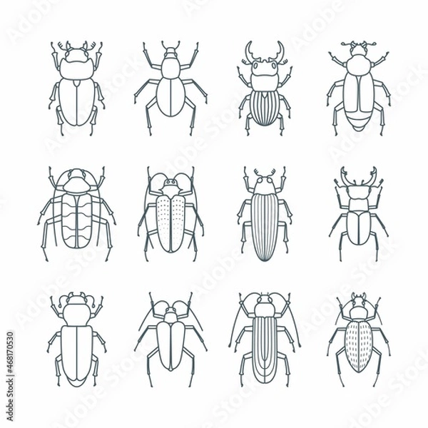 Obraz Beetle insects icons set in linear style