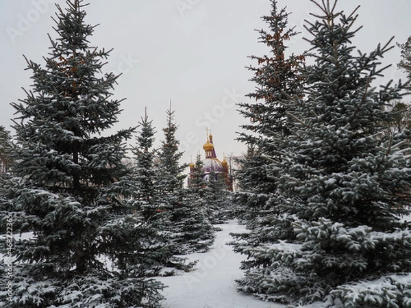 Obraz christmas tree with snow