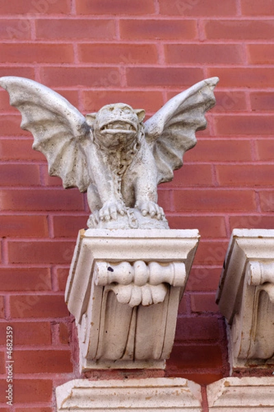 Fototapeta watch dog