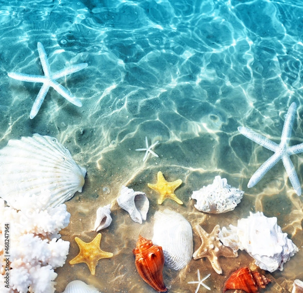 Fototapeta Starfish, coral and seashell on the summer beach in sea water. Summer background.