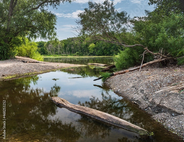 Obraz Wetland jigsaw