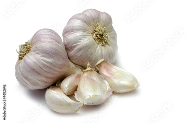 Obraz Fioletowy czosnek