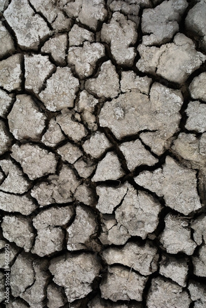 Obraz cracked ground