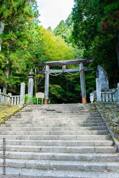 Fototapeta 戸隠神社宝光社　大鳥居
