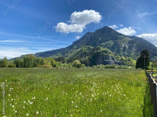 Obraz meadow and mountains