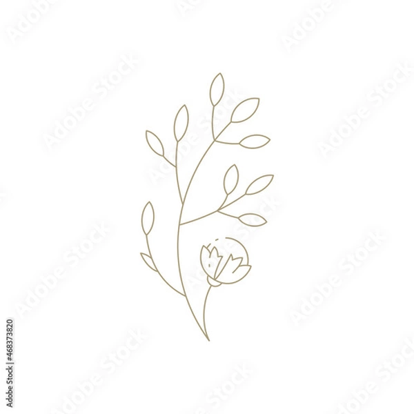 Fototapeta Simple tree branch with leaves, bud linear for wall decor, print, invitation art vector illustration