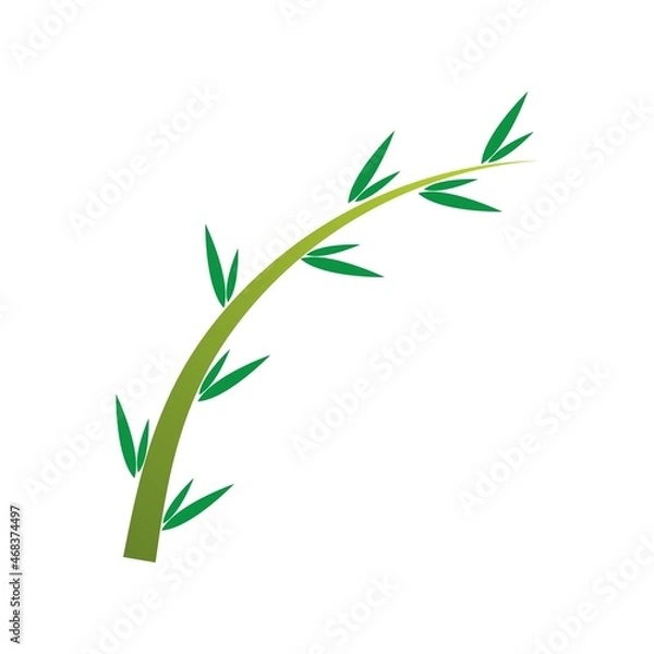 Obraz Bamboo tree logo ilustration vector template