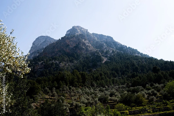 Fototapeta muntain landscape with trees and clouds in mallorca