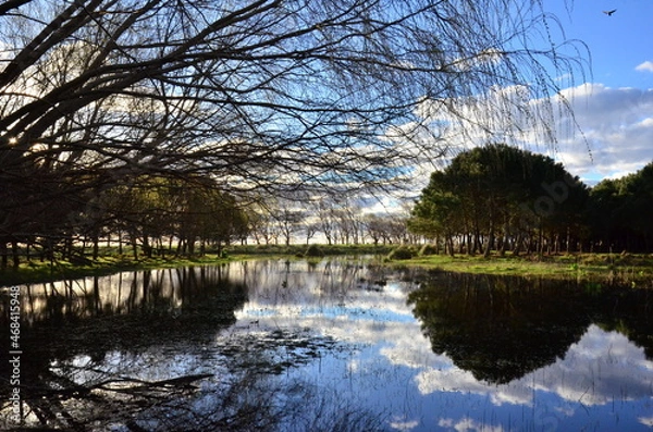 Obraz Espejo de agua