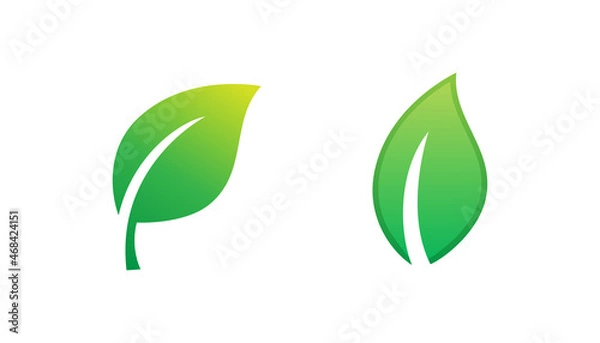 Fototapeta Green leaf logo or icon vector