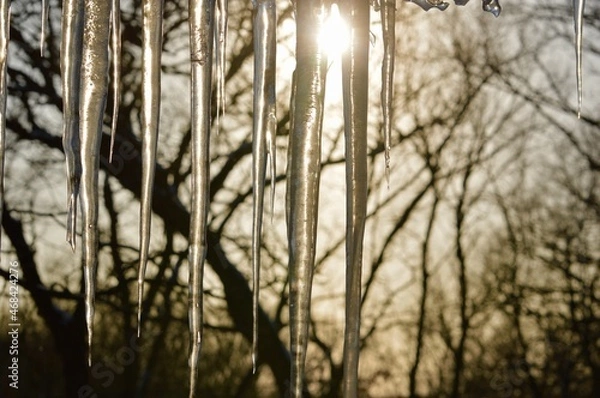 Obraz Icicles at Dusk