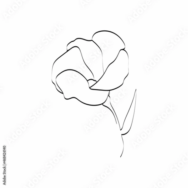 Fototapeta A flower drawn in one continuous line. One continuous line. Abstract flower. Vector illustration is suitable for posters, wall art, printing, cover design. The art of one line.