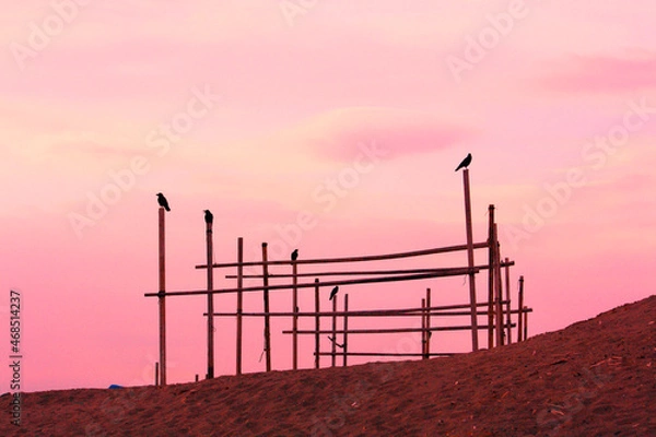 Obraz 干し場の鴉