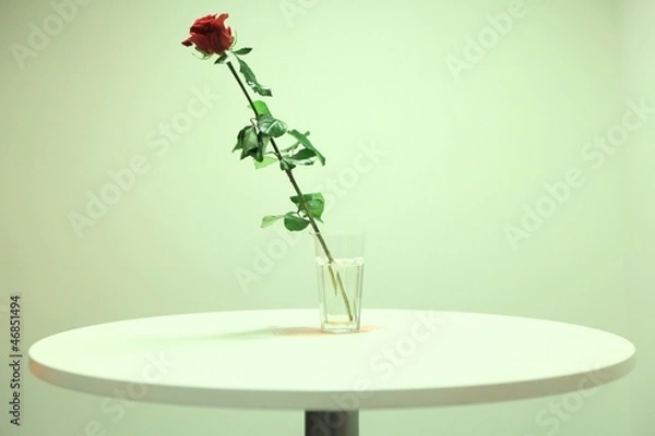 Obraz single red rose on the table 2