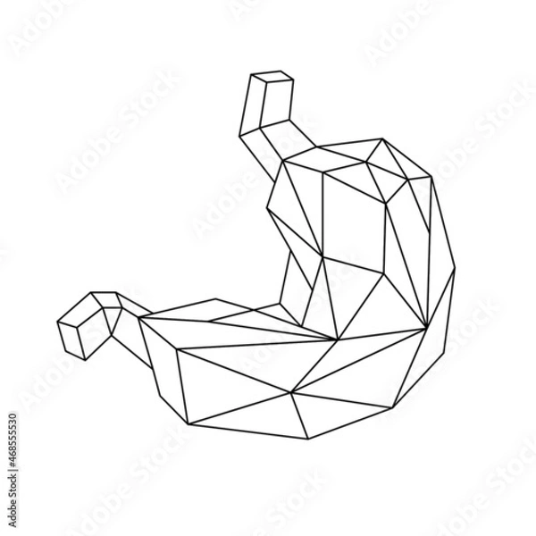 Fototapeta internal organs origami: low poly, triangles