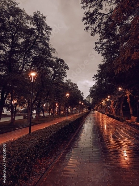 Obraz sunset in the park