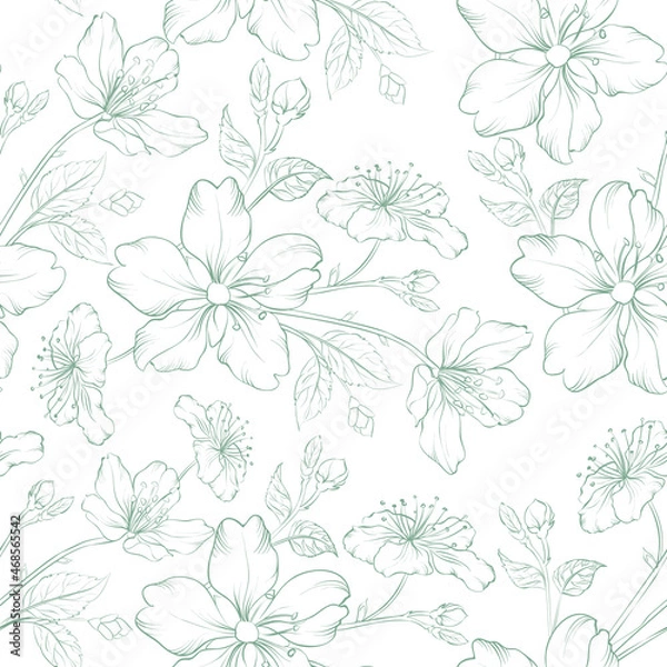 Fototapeta Sakura seamless pattern on white background.