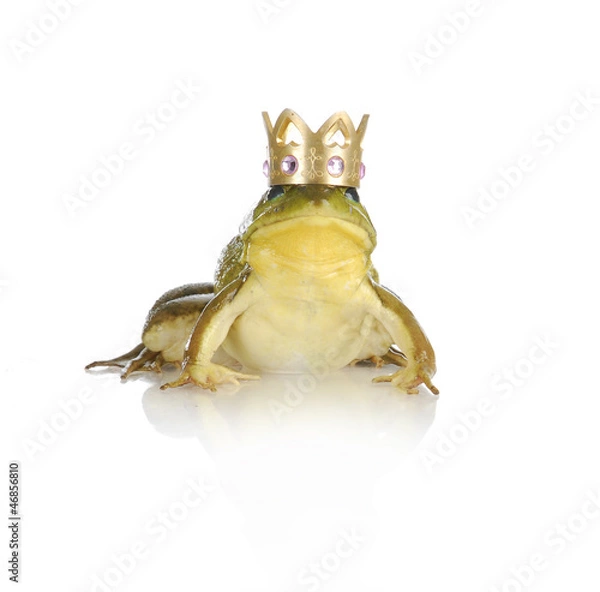 Obraz przystojny Książe