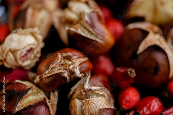 Fototapeta Close-up of chestnuts and red dry rose hips. Roasted delicious fresh chestnuts. Shallow depth of field. Top view.