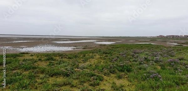 Obraz Sommer auf Juist