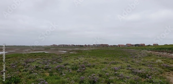 Obraz Sommer auf Juist