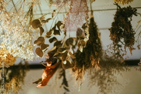Obraz 天井から吊り下げられたドライフラワー