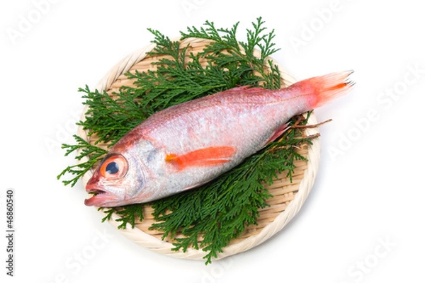 Fototapeta アカムツ