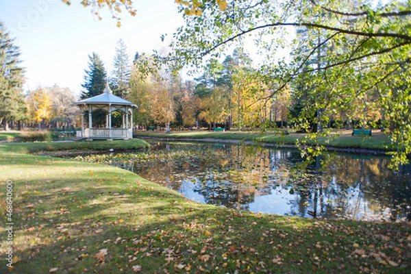 Obraz Autumn leaves in the park