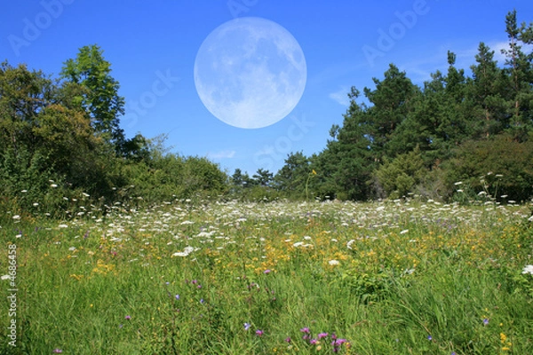 Obraz Landschaft mit Mond