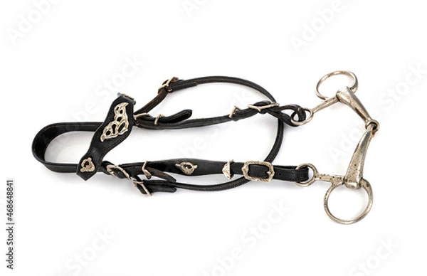 Fototapeta snaffle bridle in studio