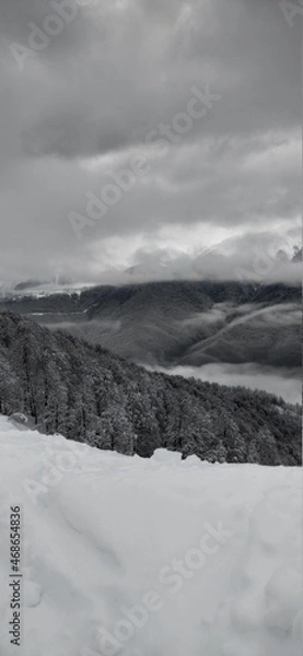 Obraz Winter in Sochi