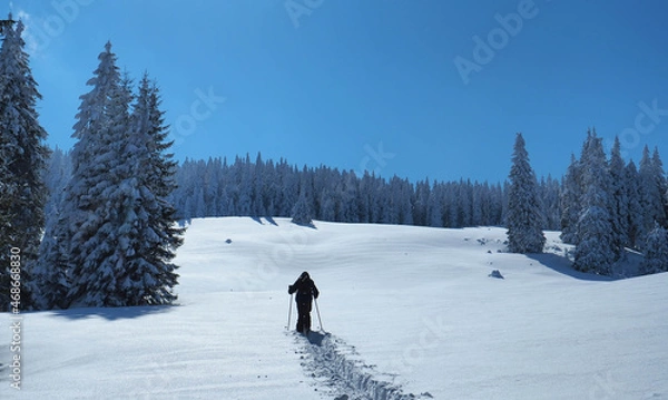 Fototapeta Making tracks in the fresh snow