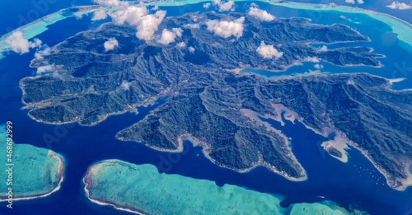 Obraz Taha comme un trèfle 