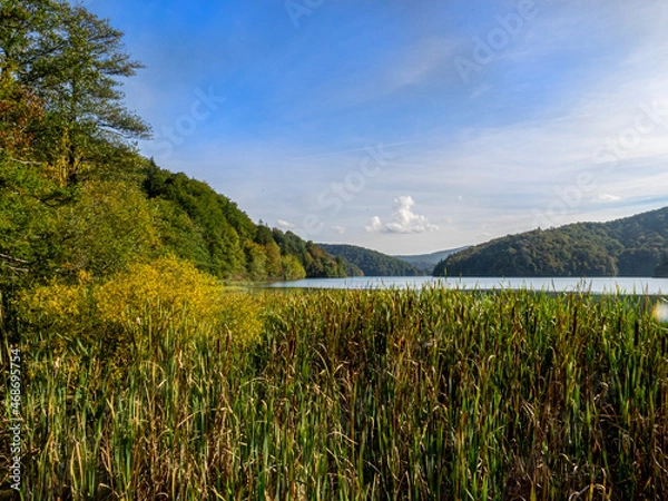 Fototapeta Reeds growing in front of northern lake in the Plitvice Lake region of Croatia.