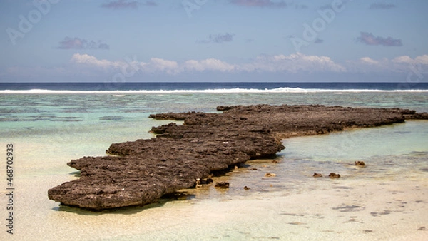 Fototapeta langue de corail