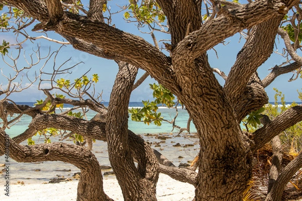 Obraz Cadre naturel perdu