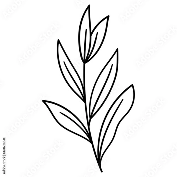 Fototapeta Flower And Leaves