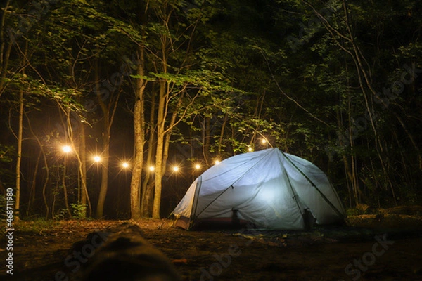 Obraz tent in the forest
