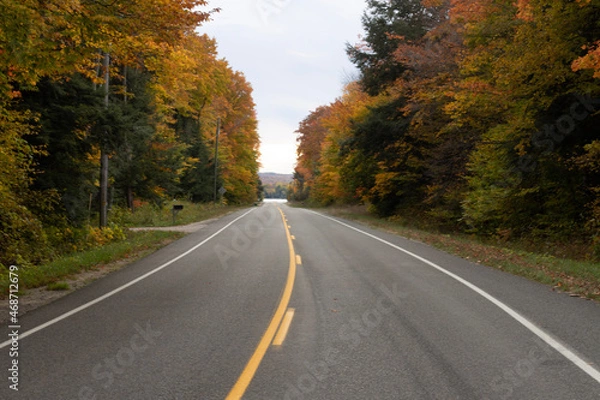 Obraz road in autumn