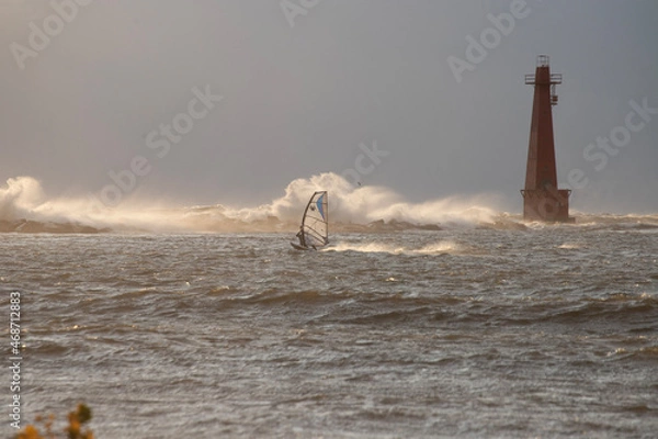 Obraz seagulls on the beach